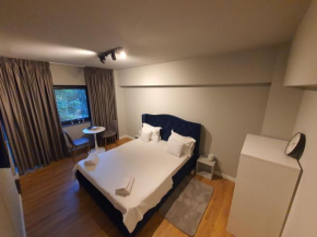 Fancy Residence Mircea